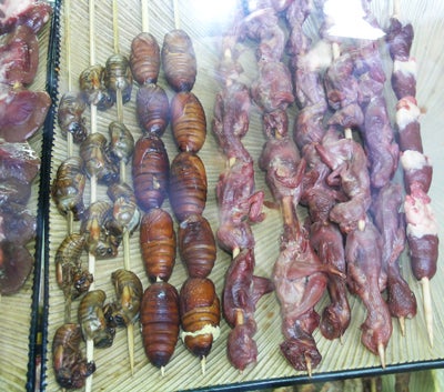 Entomophagy (Eating insects) | Center for Invasive Species Research