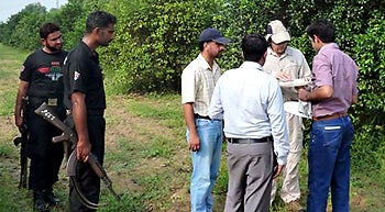 Collecting Asian citrus psyllid in the Punjab of Pakistan with Faculty and Students from the University of Agriculture at Faisalabad