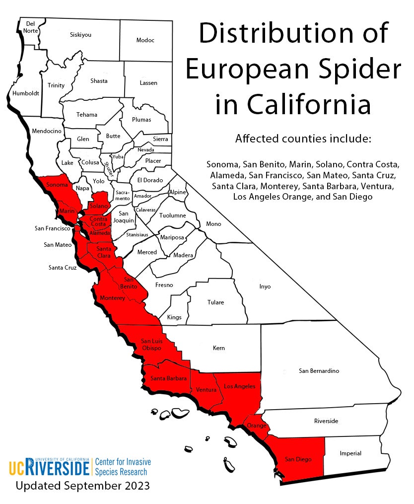 black widow spider locations map