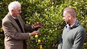 Provost and Executive Vice Chancellor of UC Riverside Dallas Rabenstein (left) and Mark Hoddle (right)