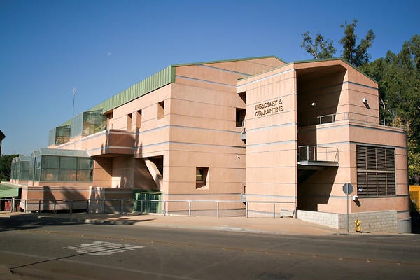 Insectary and Quarantine photo4