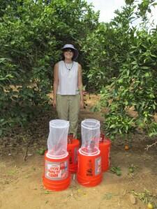 UCR Biocontrol Plot