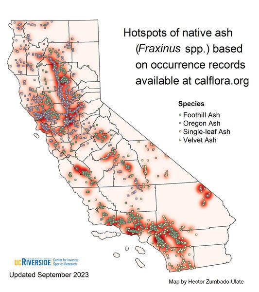 Distribution of Emerald Ash Borer