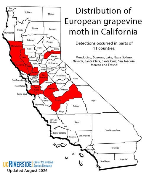 Distribution of European Grapevine Moth