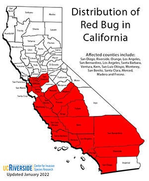 Distribution of Red Bug in California