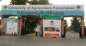 UAF Pakistan