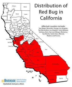 Distribution of Red Bug in California