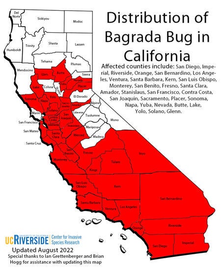 Distribution of Red Bug in California