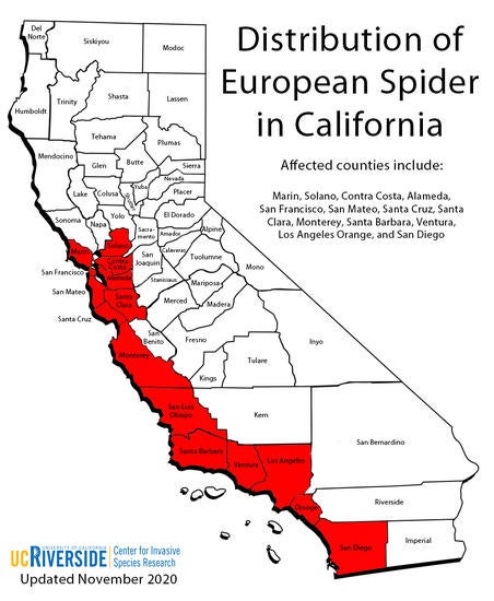 Distribution of European Spider in California