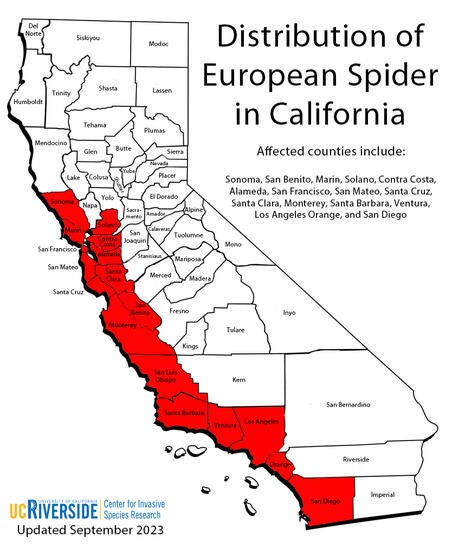 Distribution of the European Spider in California