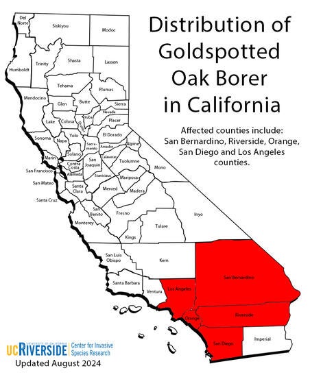 Distribution of Gold Spotted Oak Borer in California