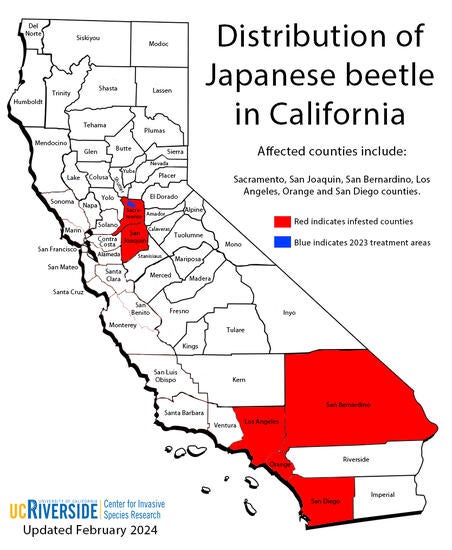 Japanese beetle distribution in California