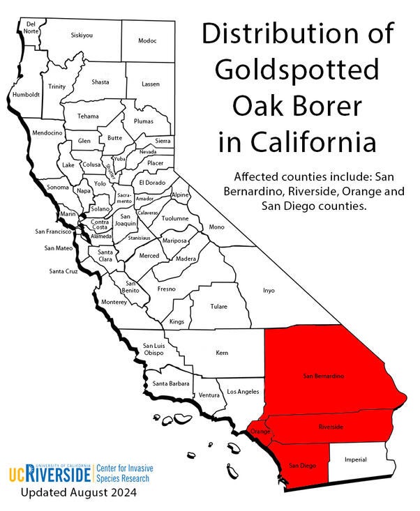 CA map, distribution of Goldspotted Oak Borer (c) CISR/CNAS