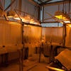 Insectary and Quarantine photo12